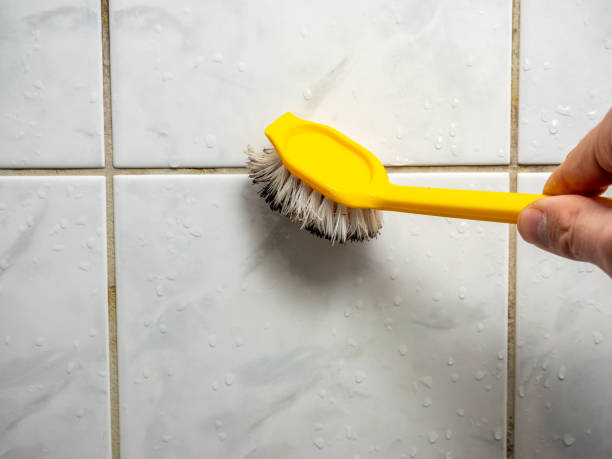 Best Mold Removal Near Me  in Rio, VA