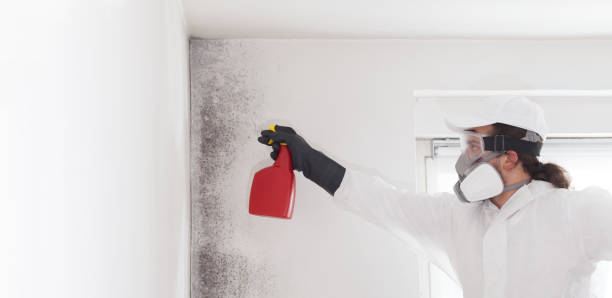 Best Residential Mold Removal  in Rio, VA